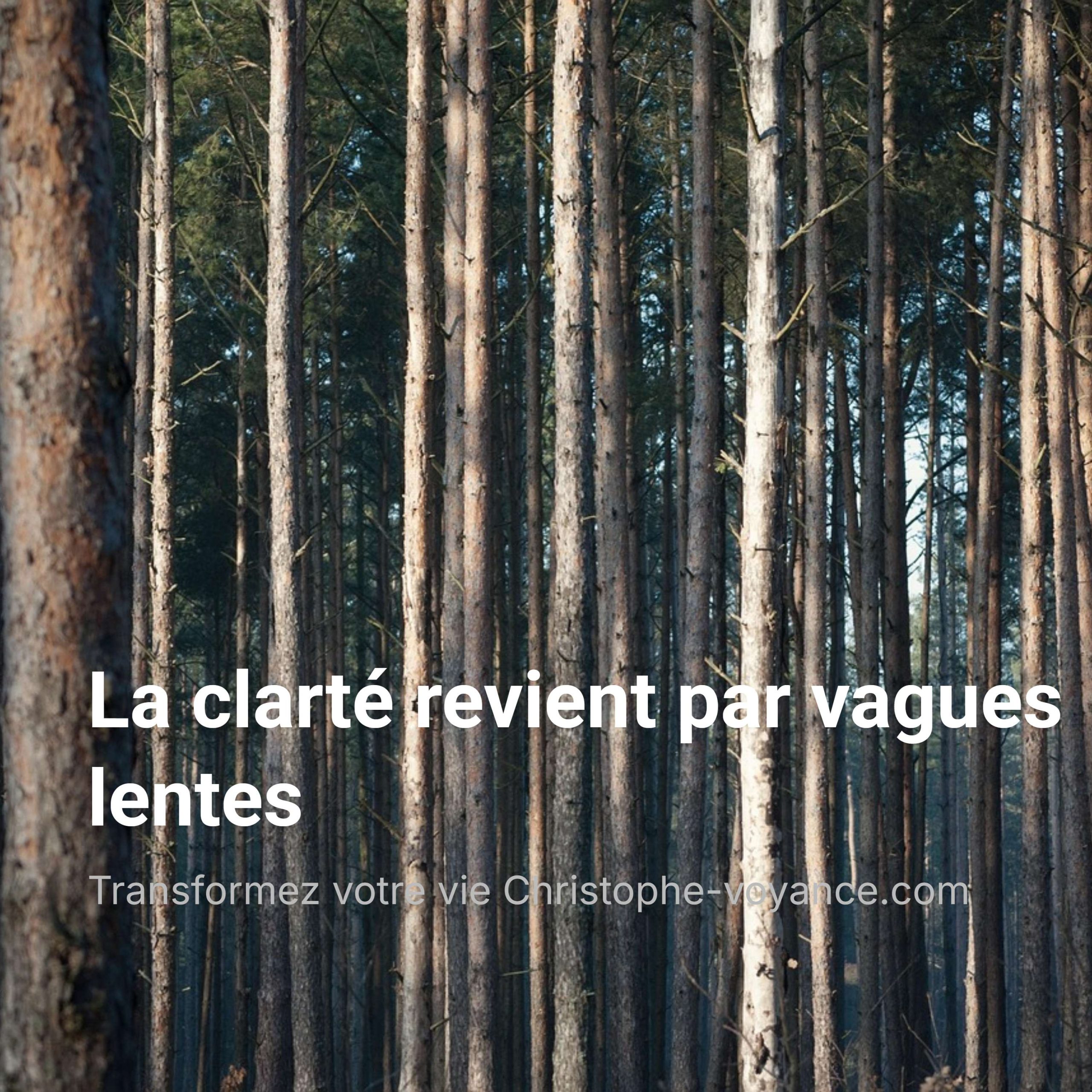 La clarté revient par vagues lentes episode artwork